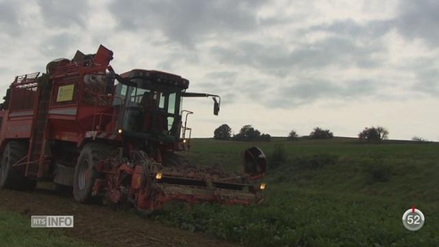 Le rapport de l’Office fédéral de l’agriculture démontre que les revenus des agriculteurs ont chuté