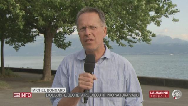 Biodiversité: entretien avec Michel Bongard, biologiste et secrétaire exécutif de Pro Natura Vaud