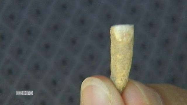 Découverte d'une dent humaine vieille de 560'000 ans