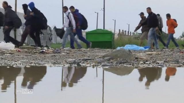 Des milliers de refugies sont arrives en Macedoine a nouveau vendredi
