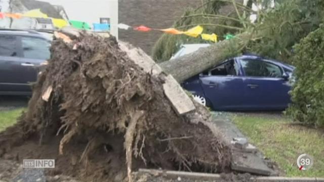 La tempête Niklas, qui a balayé l'Europe centrale, laisse derrière elle de gros dégâts