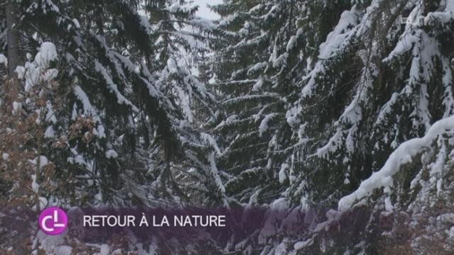 VS: la deuxième plus grande réserve forestière de Suisse voit le jour dans la Vallée du tri-ein