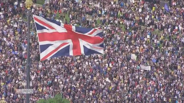 Des milliers de personnes défilent à Londres contre le Brexit