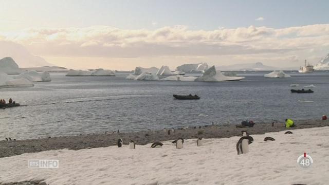 La plus grande réserve maritime du monde est créée dans l'océan Antarctique