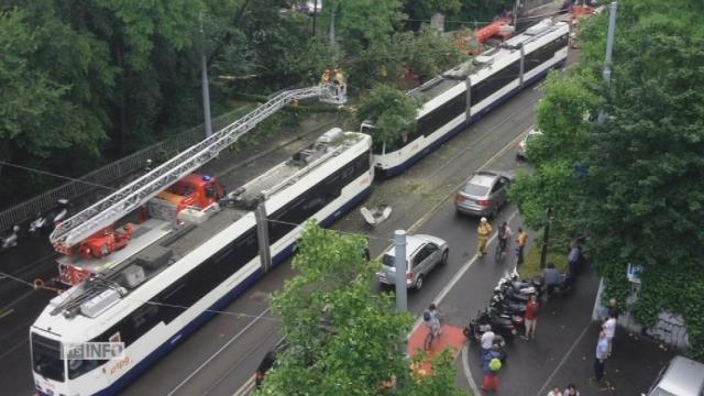 Un arbre chute sur un tram à Genève à la suite d'un orage
