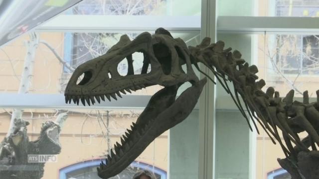 Découverte d'une nouvelle espèce de dinosaure