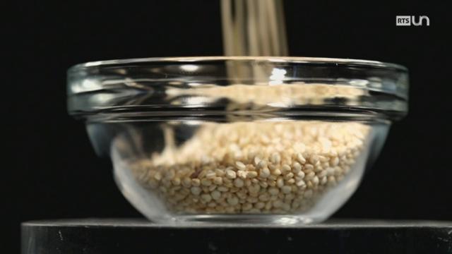 Le quinoa: l’histoire d’une tendance