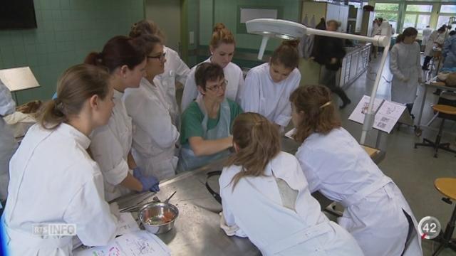 Le Conseil fédéral alloue 100 millions sur 4 ans pour la formation des médecins