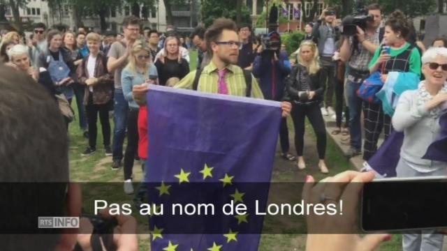 Un petit groupe de Londoniens ont manifesté contre le Brexit samedi devant le palais de Westminster