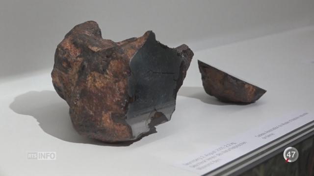 Le Musée d’histoire naturelle de Berne consacre une exposition à la météorite de la Montagne de Douanne
