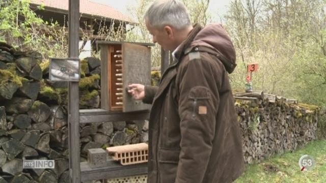 Une start-up alémanique veut améliorer l'agriculture avec des abeilles