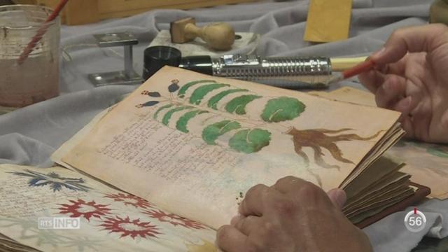 Une maison d'édition espagnole va fabriquer des copies du manuscrit mystérieux de Voynich