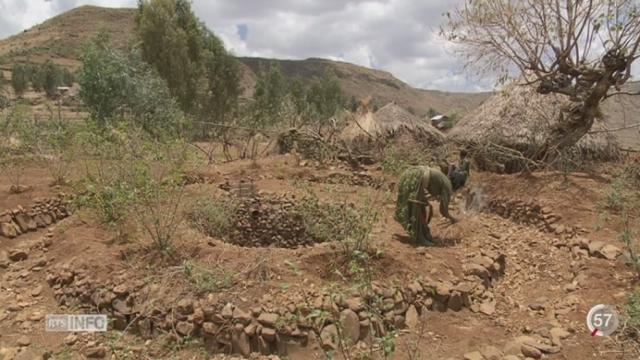 Ethiopie: les agriculteurs doivent apprendre à utiliser le moins d'eau possible