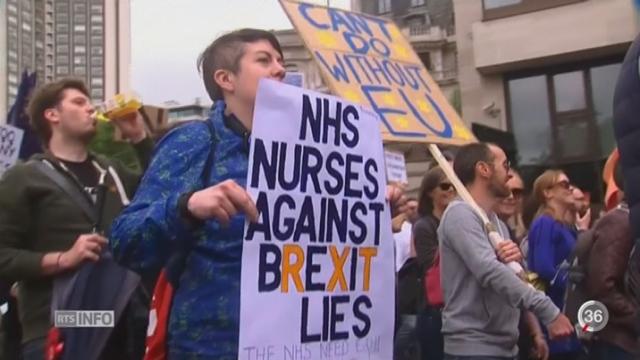 Brexit: des milliers de manifestants ont défilé contre le Brexit dans le centre de Londres