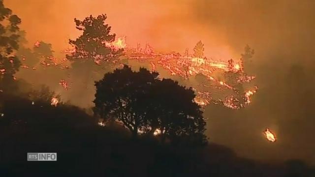 L'Algarve touché par les feux de forêt qui ravagent le Portugal