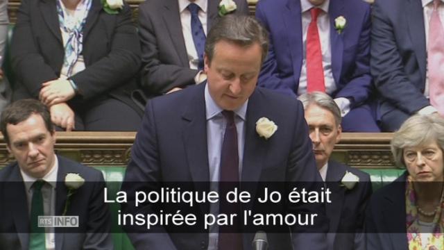 David Cameron: "La politique de Jo était inspirée par l'amour"