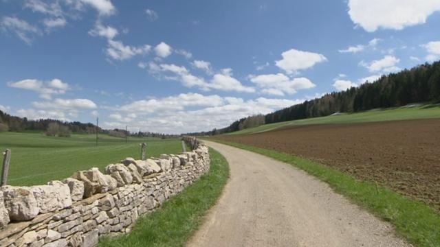 JU: les autorités lancent un plan d’action pour sauver les murs de pierres sèches