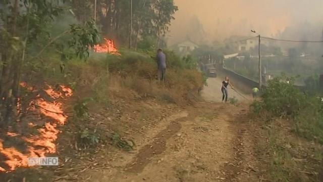 Incendies dévastateurs dans le nord du Portugal