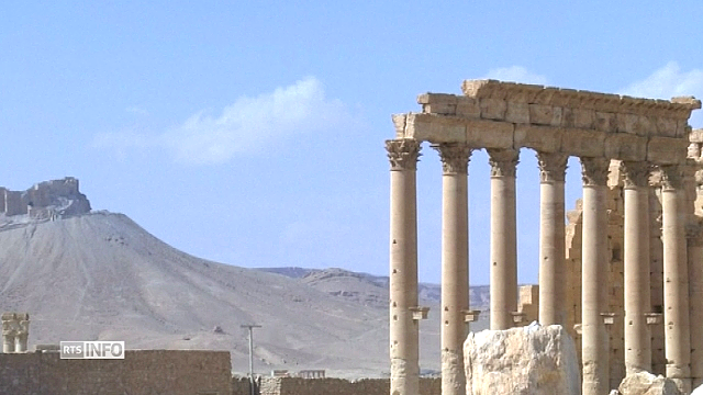 Les premières images de la cité de Palmyre libérée
