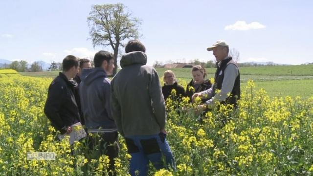 L'usage de pesticides enseigné aux agriculteurs?