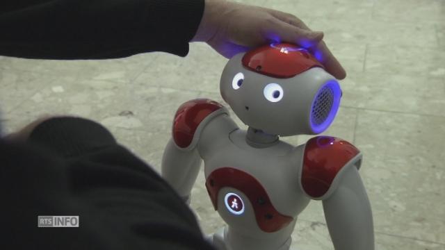 Un robot de compagnie à la maison