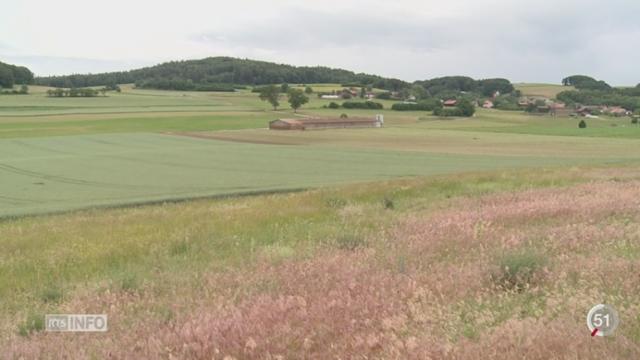 Les paysans doivent consacrer une partie de leurs terres à la biodiversité