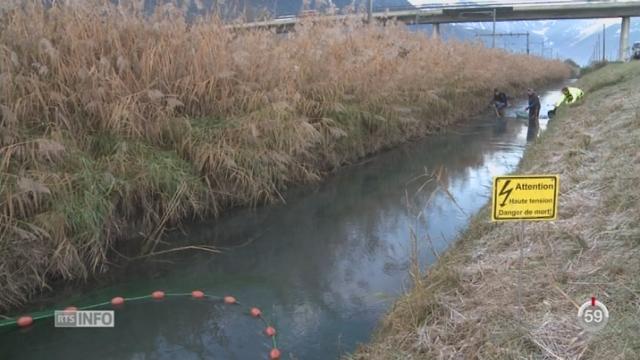 VS: une pêche a été organisée près de Saxon pour compter les poissons vivants après la pollution