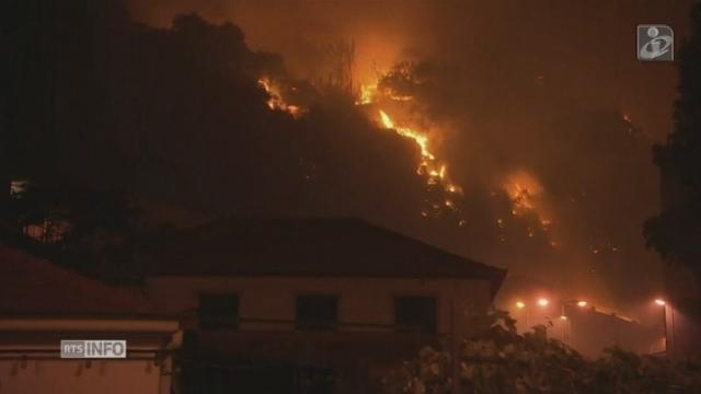 Les feux progressent au Portugal et atteignent l'île de Madère