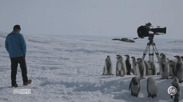 Une exposition de Luc Jacquet permet de plonger au cœur de l’Antarctique