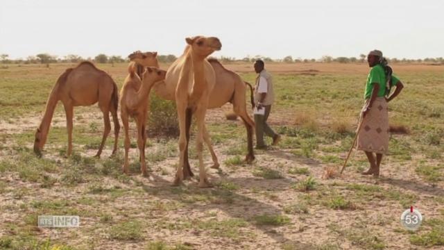 La Chaîne du bonheur veut aider les victimes de la sécheresse