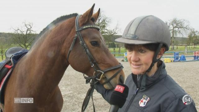 La race du cheval des Franches-Montagnes est en danger