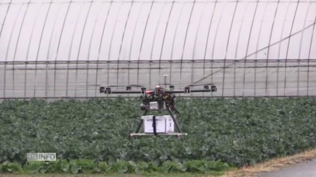 Premier test de drone livreur au Japon