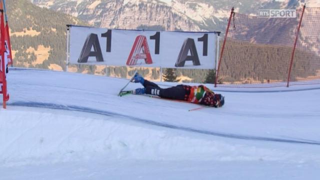 Skicross hommes, Montafon (AUT): grosse chute entre l'Américain Crossan et le canadien Delbosco