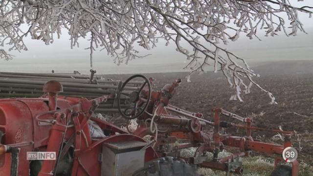 Le nombre de suicides chez les agriculteurs inquiète dans le canton de Vaud