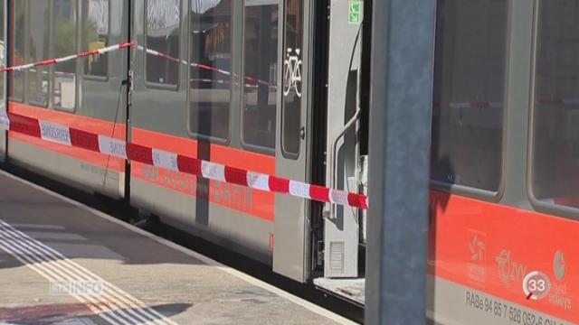 SG: l'attaque dans le train reste inexpliquée