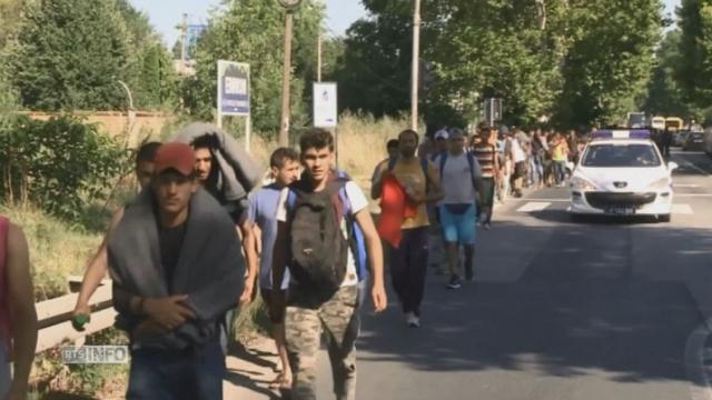 Environ 300 migrants marchent vers la Hongrie