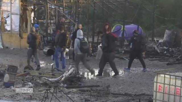 Des migrants errent toujours dans la "jungle" de Calais