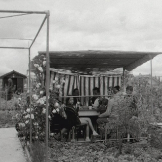 Les jardins familiaux dans les années 1960. [RTS]