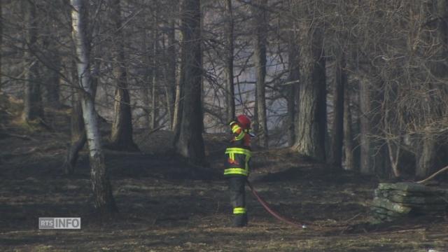 Feux de forêt dans les Grisons