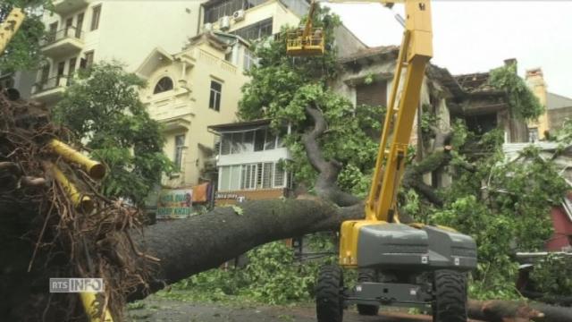Une tempête fait tomber des centaines d'arbres à Hanoï