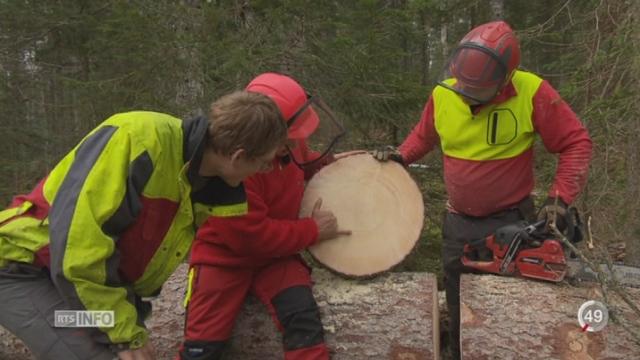 Le secteur du bois veut se spécialiser dans le bois de haute qualité