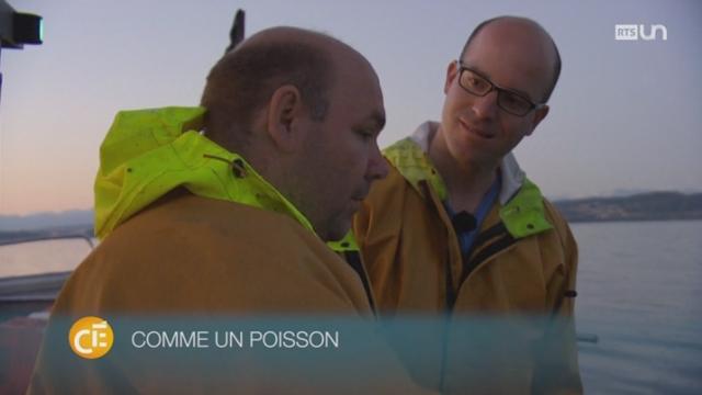Mathieu Oppliger et Julien Guillaume testent le métier de pêcheur sur le lac de Neuchâtel
