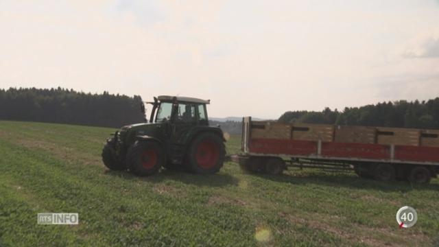 L'agriculture suisse restera protégée de toute modification génétique jusqu'à 2021