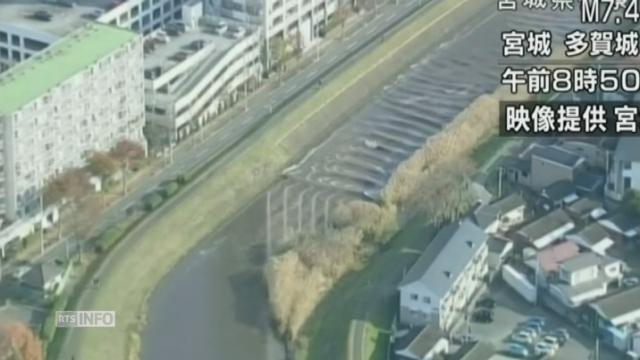 Les images du séisme et des tsunamis au Japon