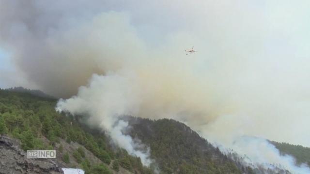 Incendie mortel aux Canaries causé par un homme qui faisait ses besoins