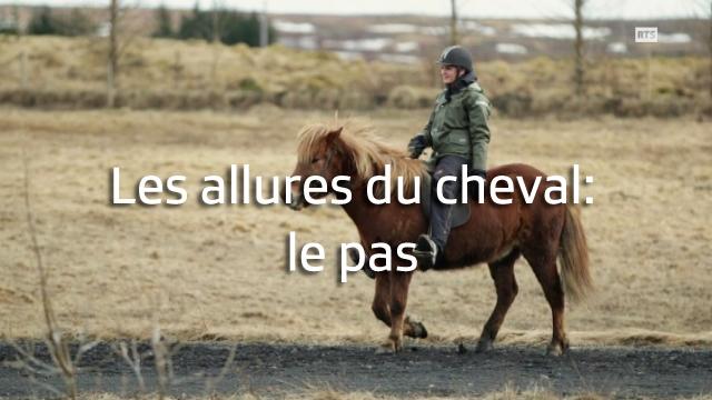 Les allures du cheval islandais: le pas.