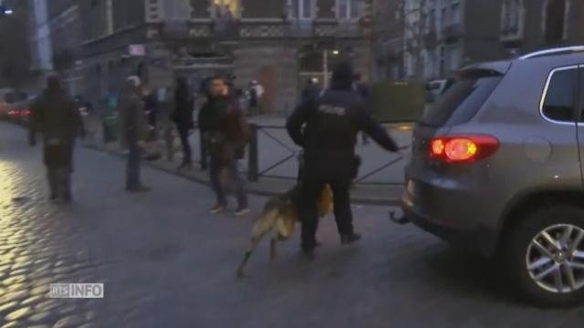 Les chiens policiers interviennent à Molenbeek