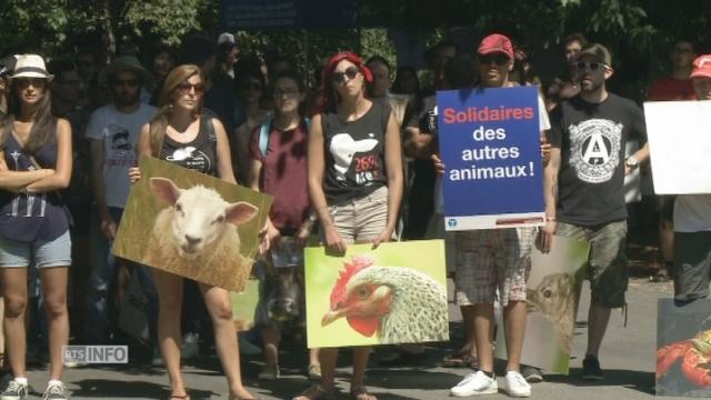 Manifestation antispéciste à Genève