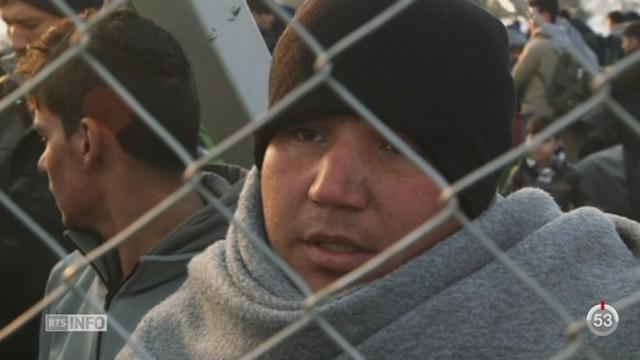 Crise des migrants: la police grecque a commencé à transférer des réfugiés afghans à Athènes