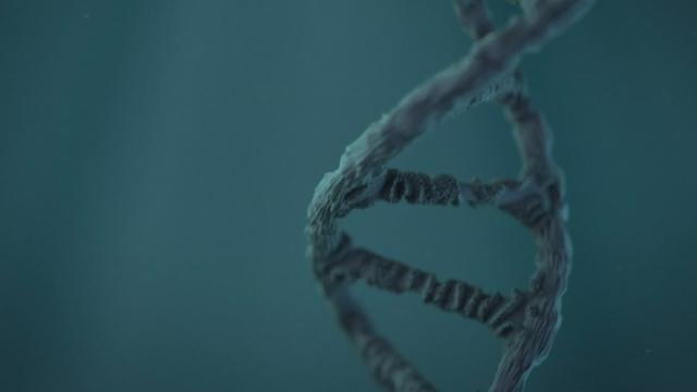 Comment décode-t-on le génome?
